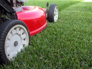 Landscaping Companies Tampa