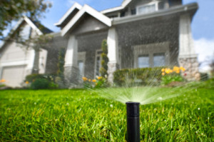 Lawn Maintenance Tampa Lawn Maintenance Tampa